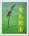 超级合成系统