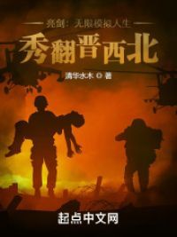 亮剑:无限模拟人生,秀翻晋西北